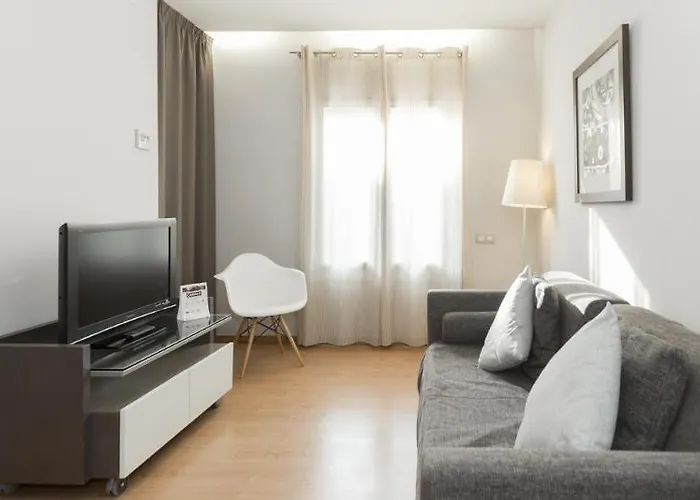 Amister * Barcellona